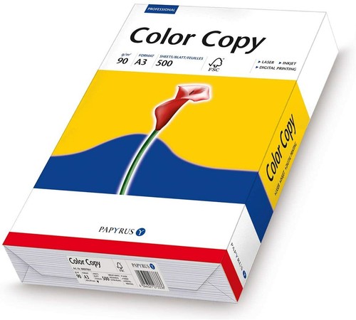 Papyrus 88007864
